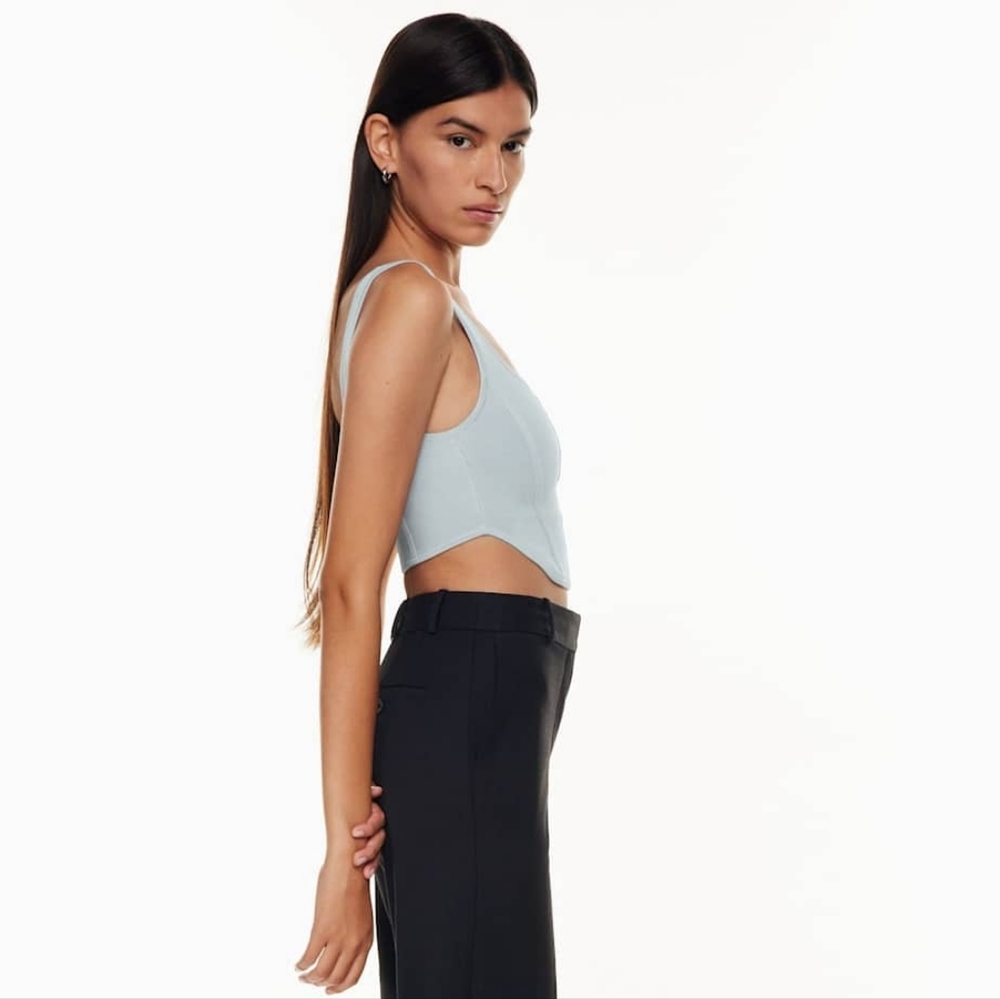 aritzia x Babaton sculpt knit bustier top